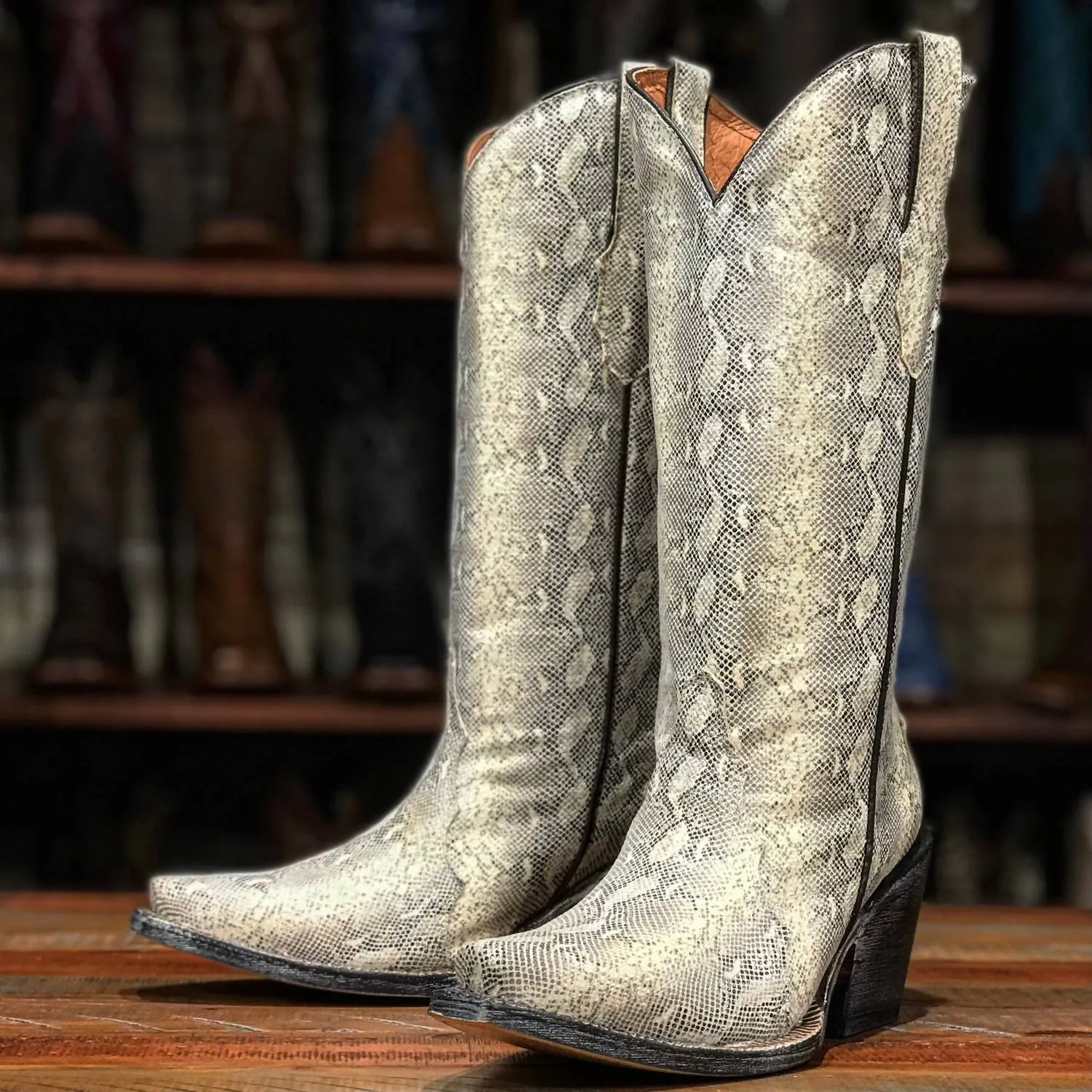 Caruguna Print Leather Boots In Cream