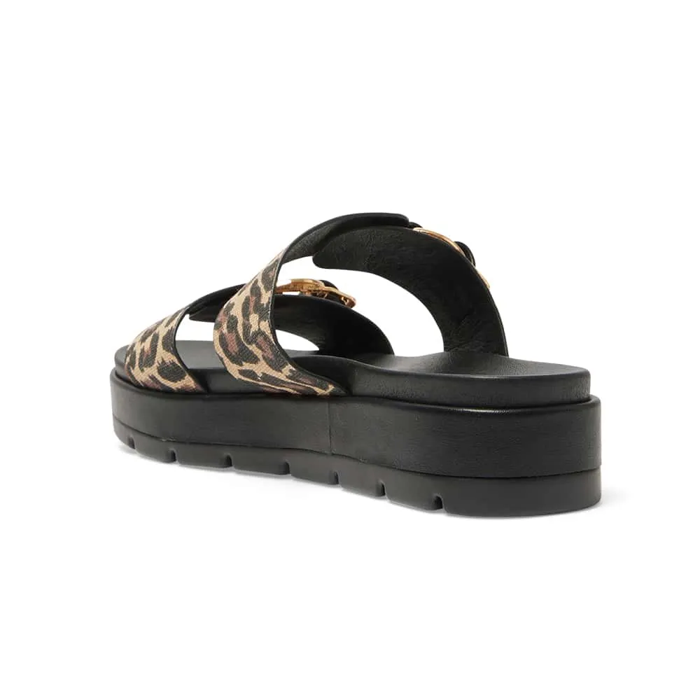 Fiction Slide in Animal Fabric
