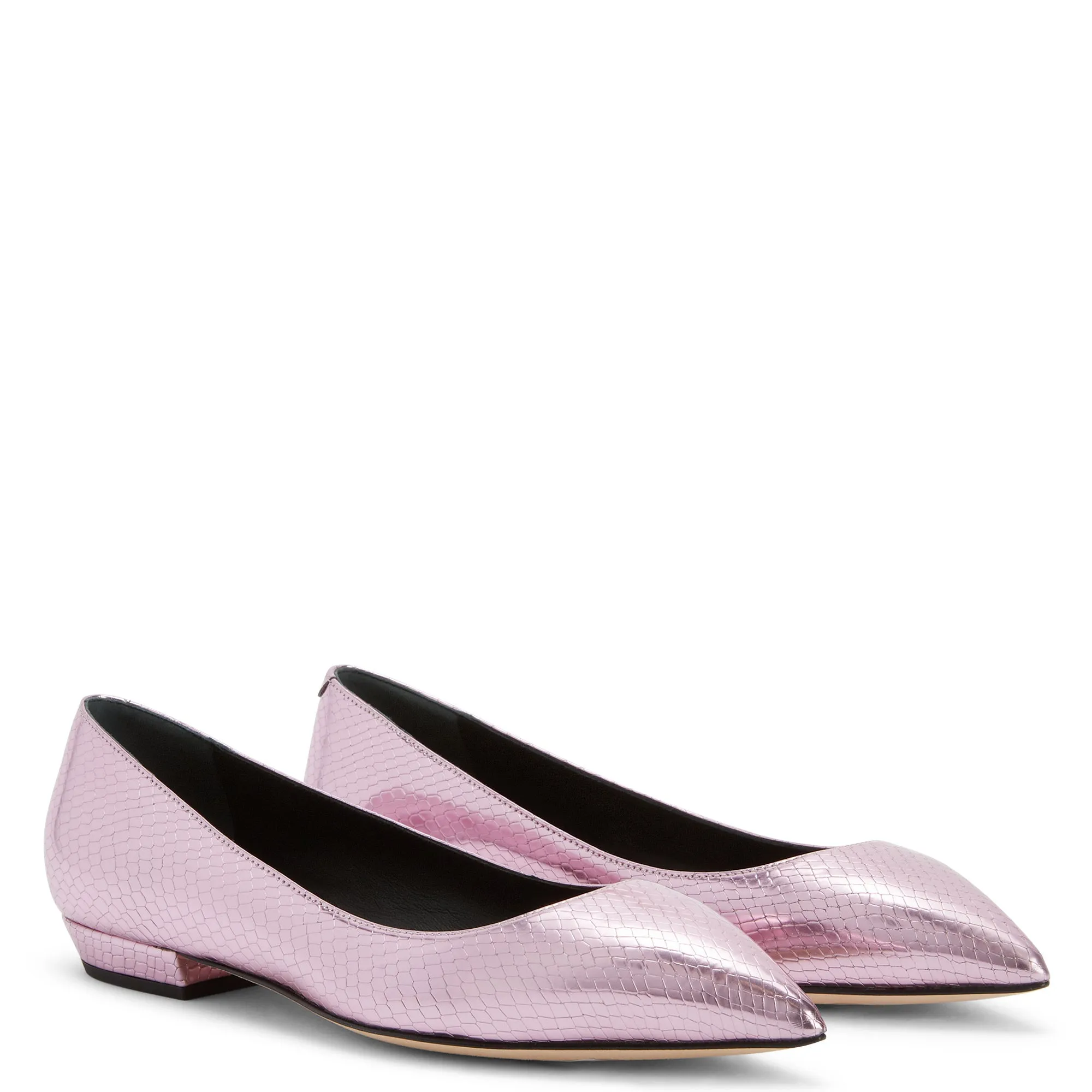 Giuseppe Zanotti Dhalia