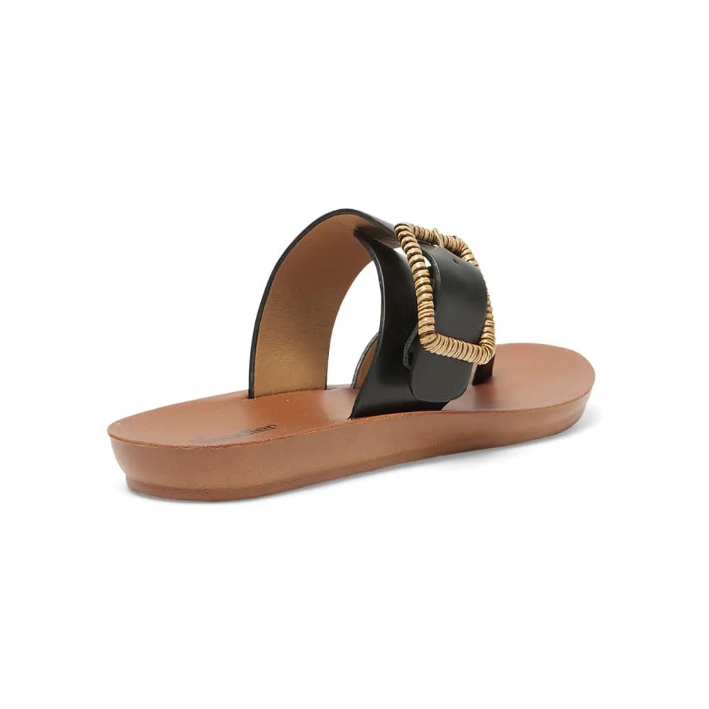 Glide Slide in Black Smooth