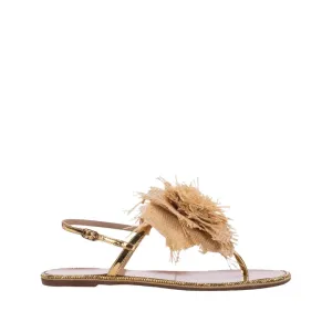 Rose Sandal 20